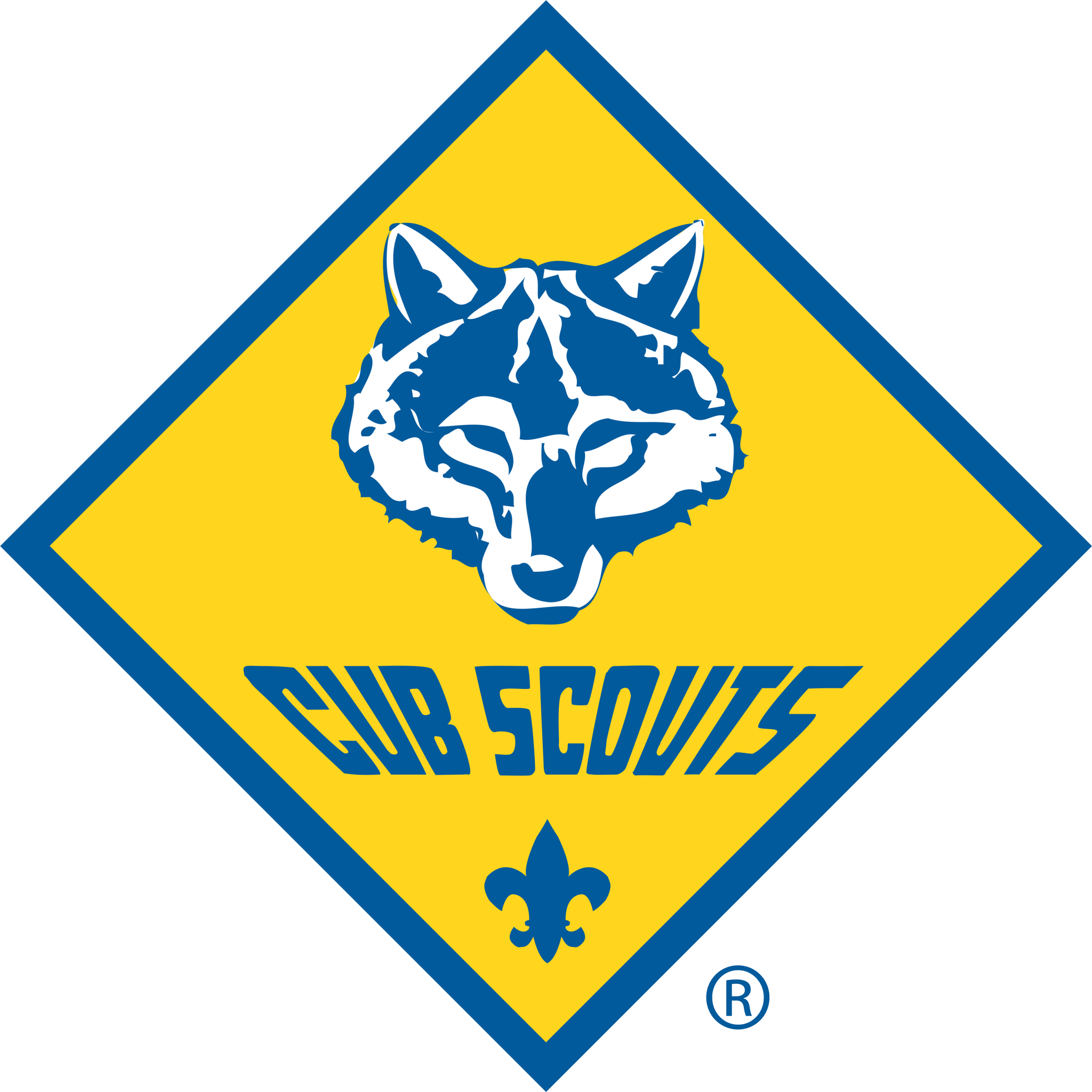 Cub Scouts (Color Logo)
