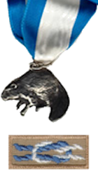 silver_beaver_award