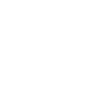BSA Emblem icon white fleur de leis