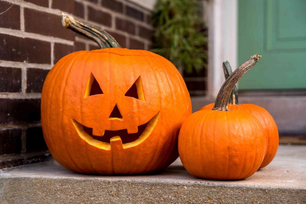 jackolantern halloween pumpkin carved jack o lantern