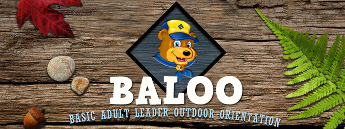 Baloo Training Banner 2021
