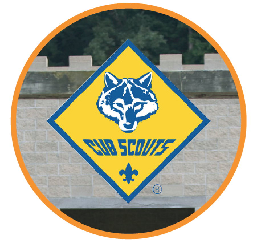 Annual Report Advancement Boy Scouts Of America Dan Beard Council