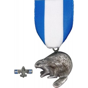 Silver Beaver Award Kit