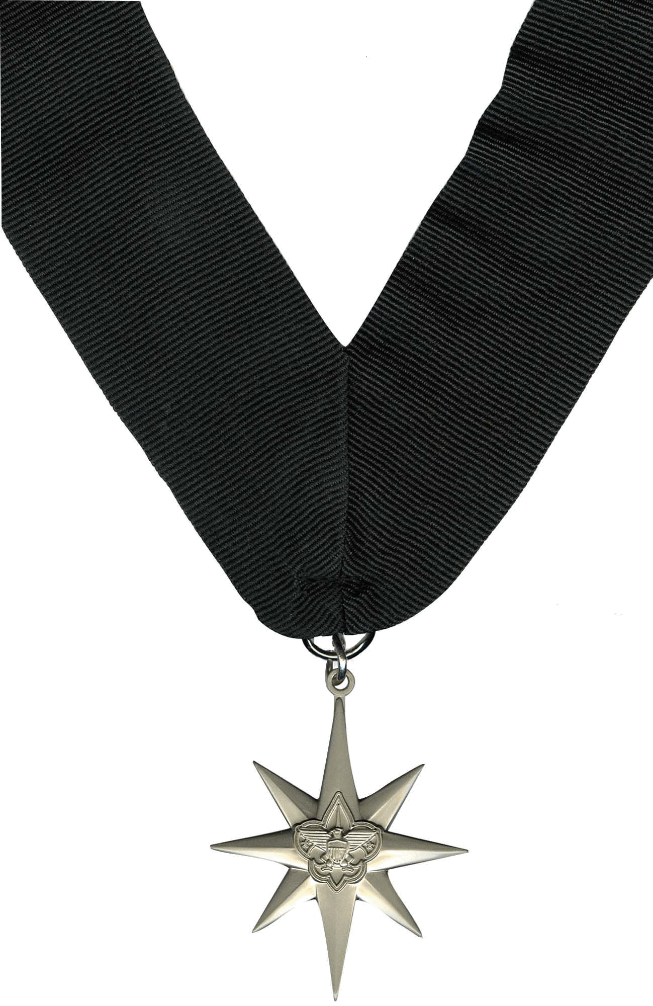 North Star Award Medal