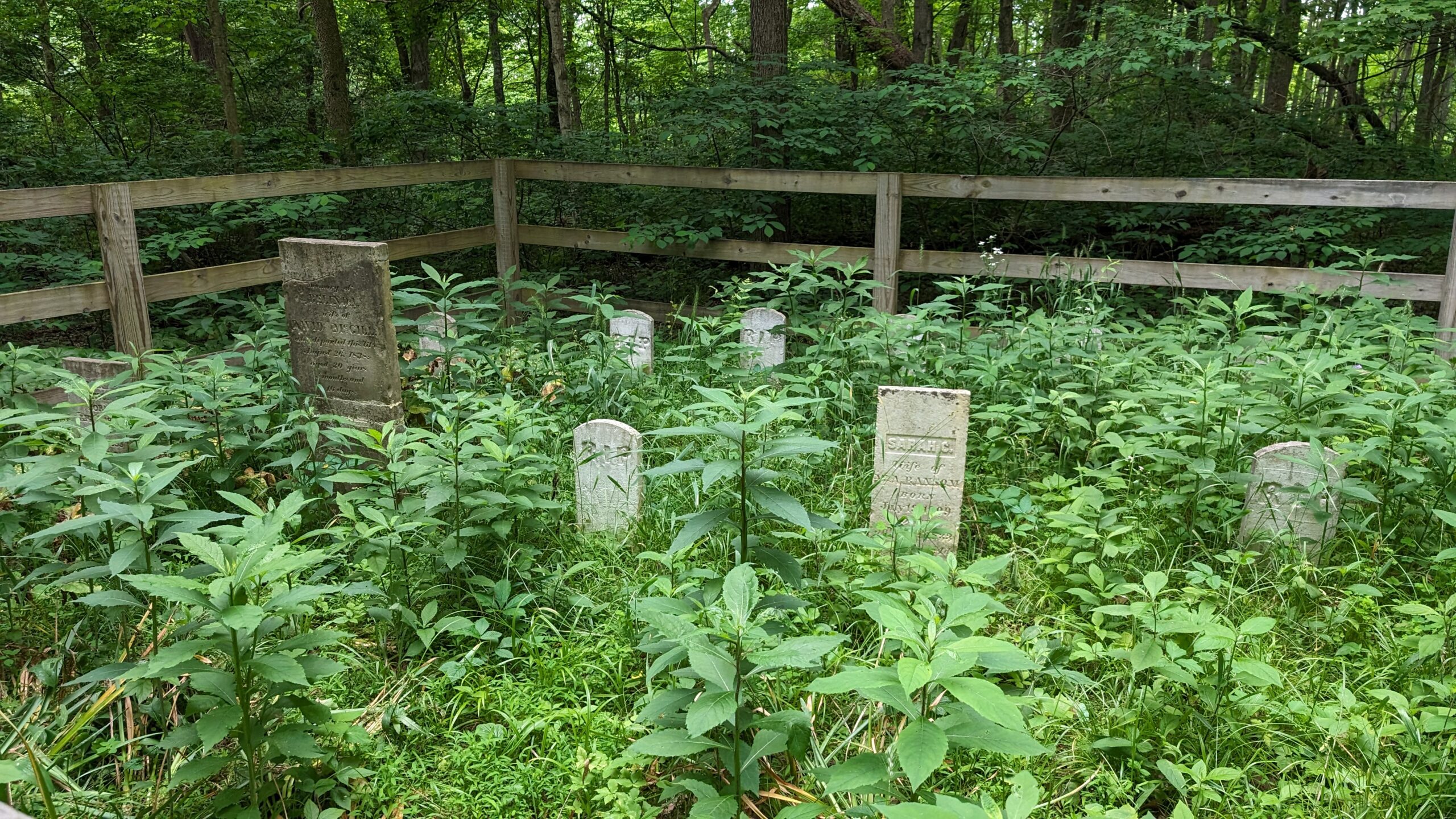 The Ranson Family Cemetery